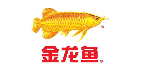 永坤減速機(jī)廠家客戶見(jiàn)證之金龍魚(yú)食用油全自動(dòng)生產(chǎn)線